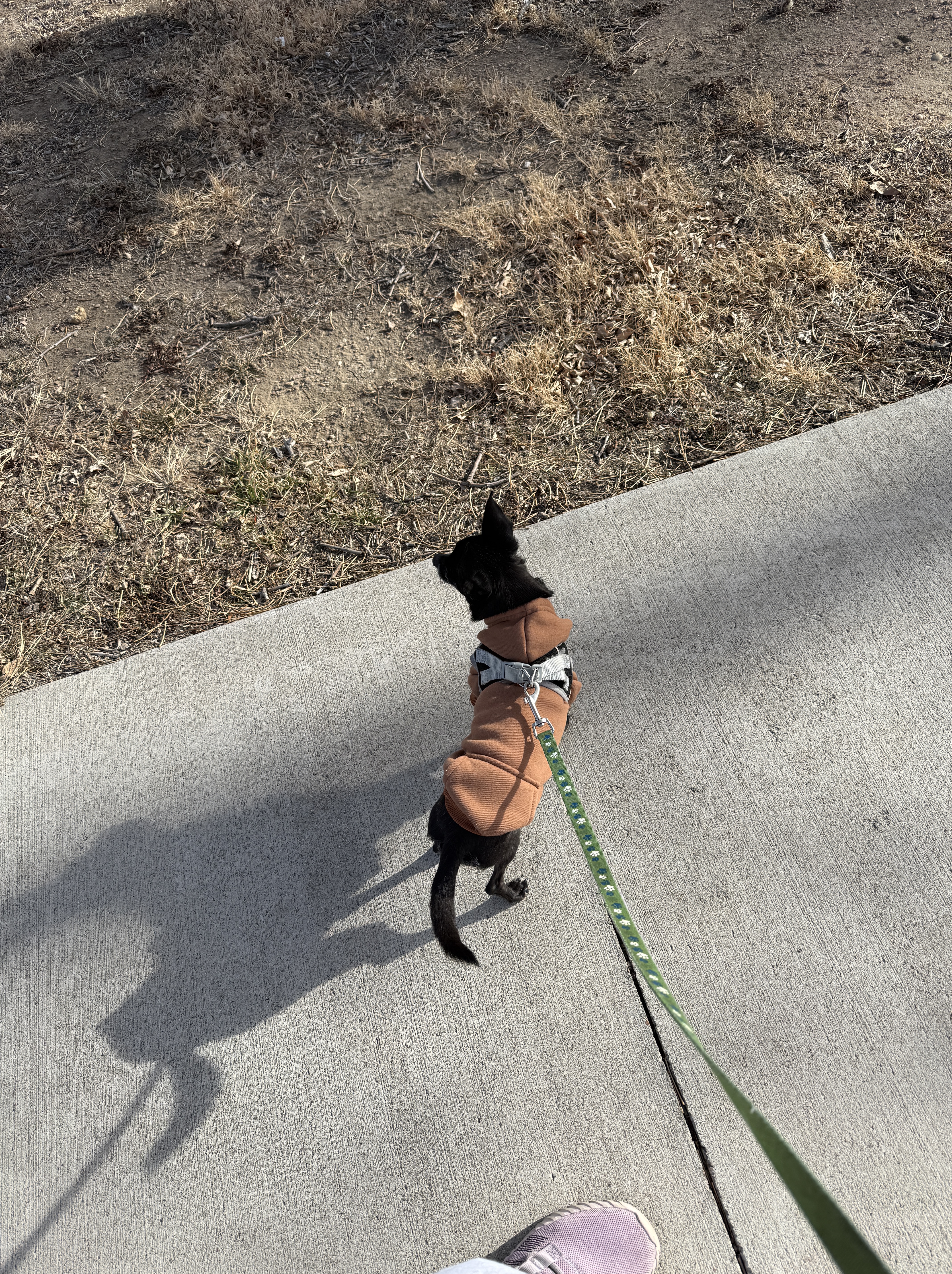 Balancing My Mental Health & Fitness, Quite Literally, in One Day